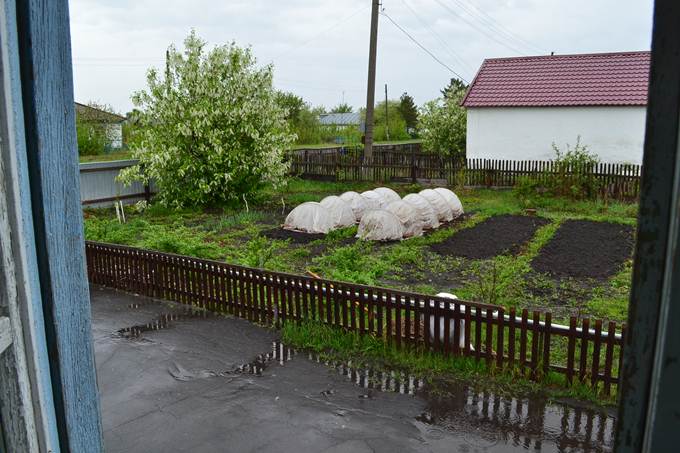 деревня