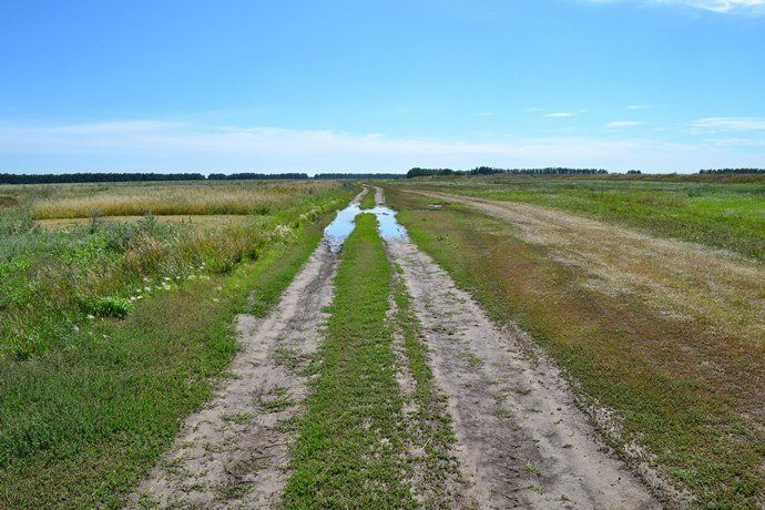 деревенская дорога
