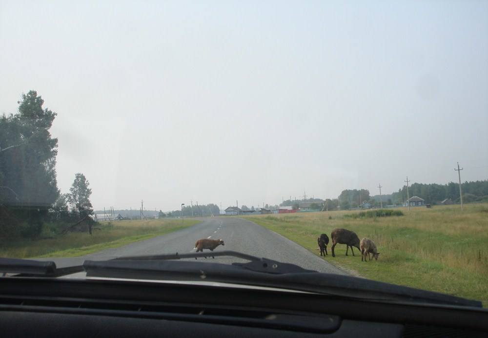 Дорога в деревню